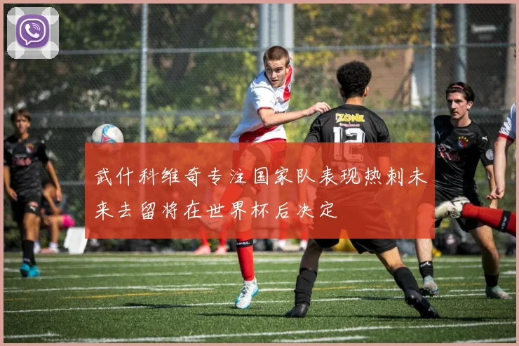 武什科维奇专注国家队表现热刺未来去留将在世界杯后决定